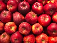 Foods that suppress appetite (Image via Unsplash/Matheus)